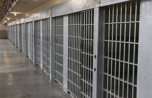 Federal Prison Survival Guidance One On One 1hr